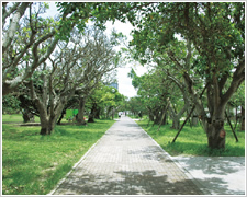 新都心公園