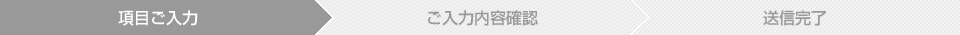 項目ご入力